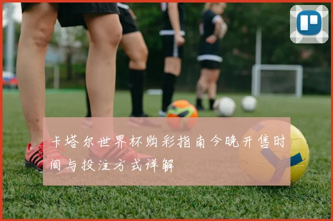 卡塔尔世界杯购彩指南今晚开售时间与投注方式详解