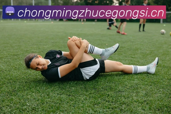 九游网页官网入口发展历程